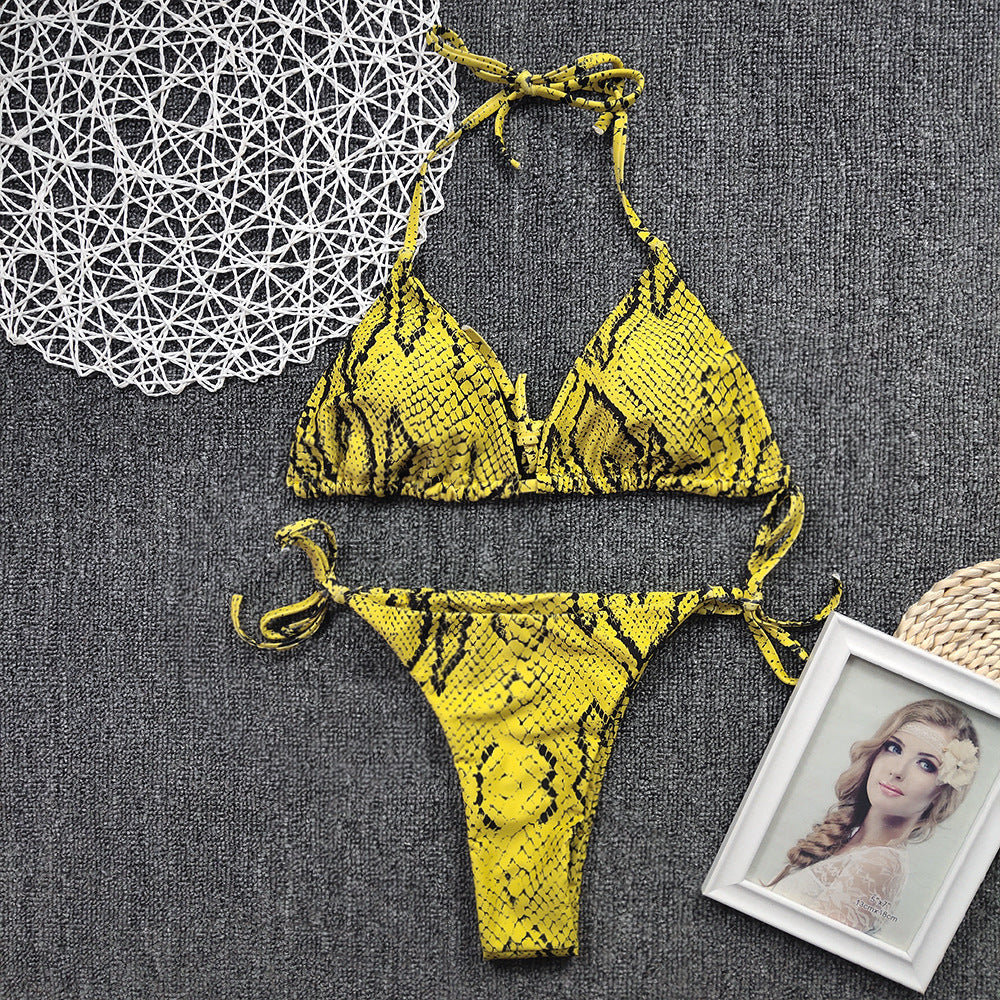 Ombre Bikini Set