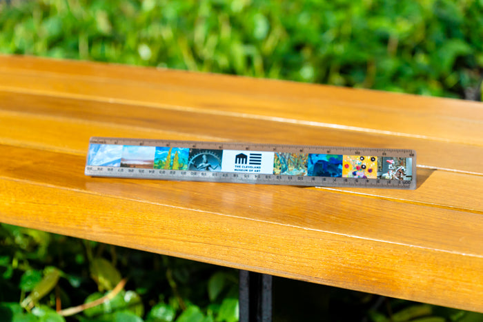 Ruler 12" Plastic Fulll Color