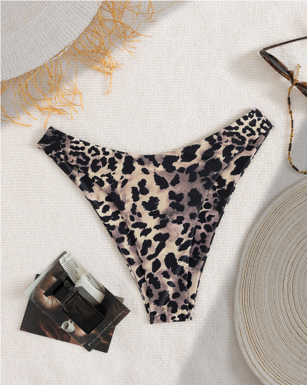 Leopard Print Bikini Set