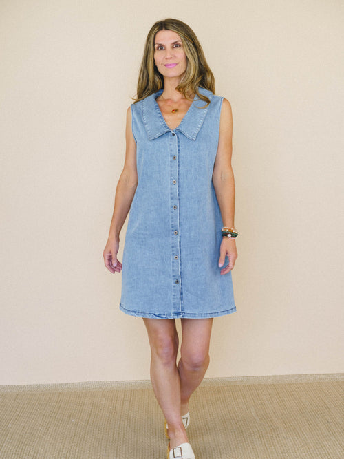 Just the Thing Dress - Denim