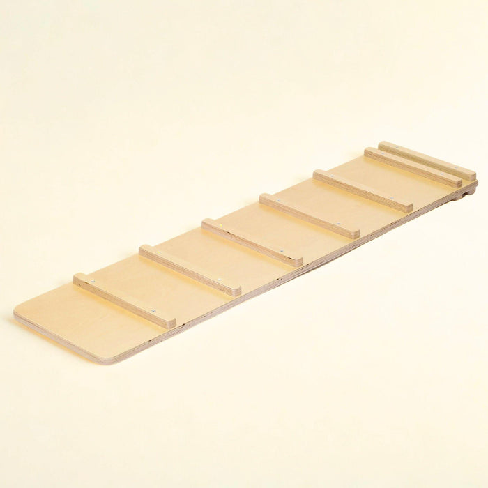 Reversible Climbing Ramp