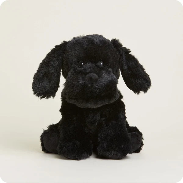 Black Lab