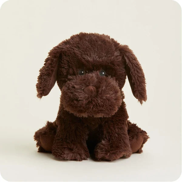 Chocolate Lab