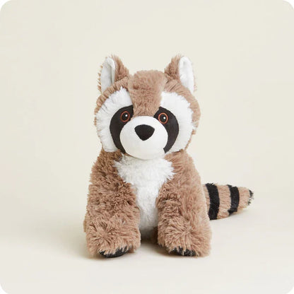Raccoon