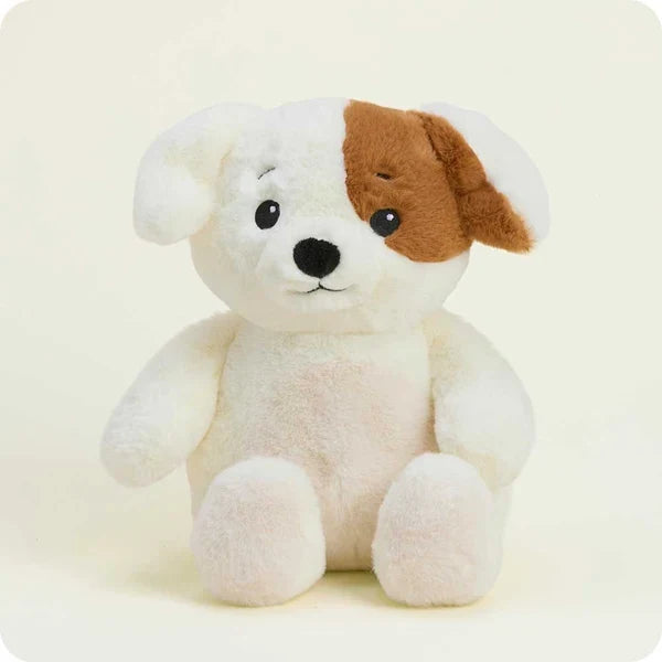 Cute Puppy