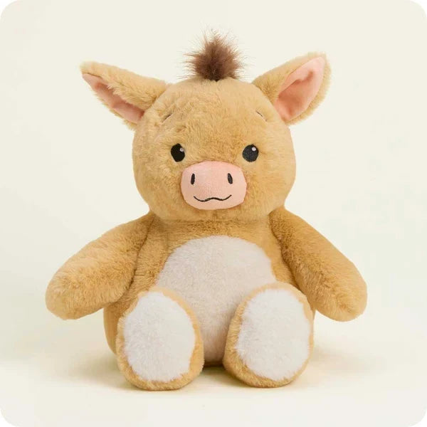 Cute Donkey